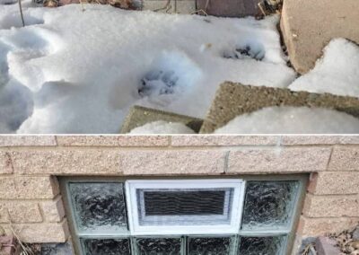 Before And After Glass Block Supplier Milwaukee Wi Week 2 April 2023 00027