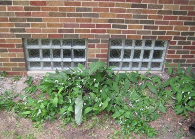 Glass Block Supplier Milwaukee Gallery Residential Basements 1